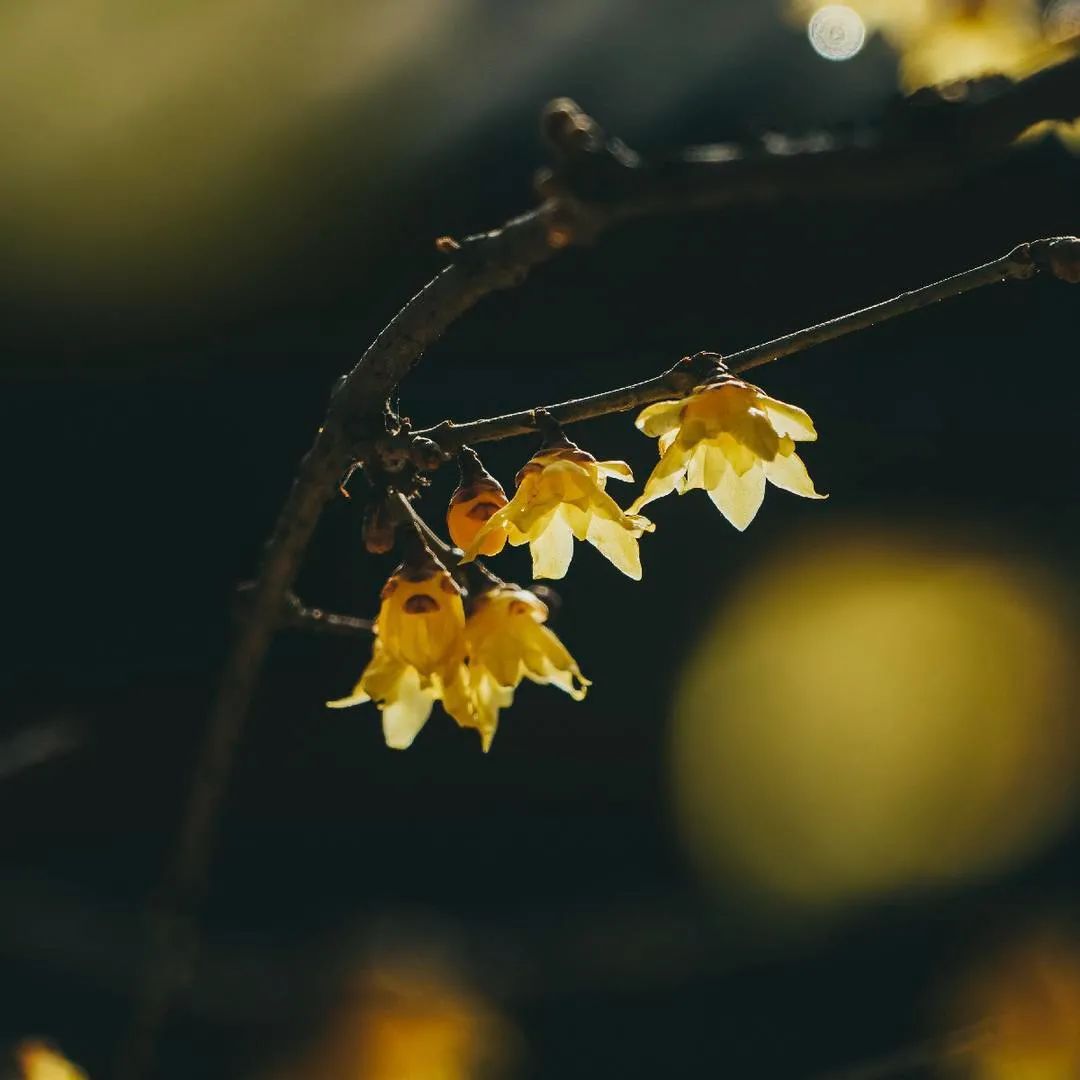 图/穷游biu主 luc_photo