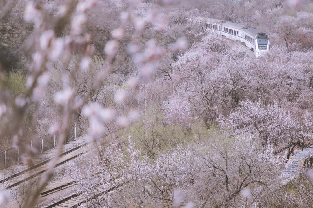 图/穷游er 茱妮