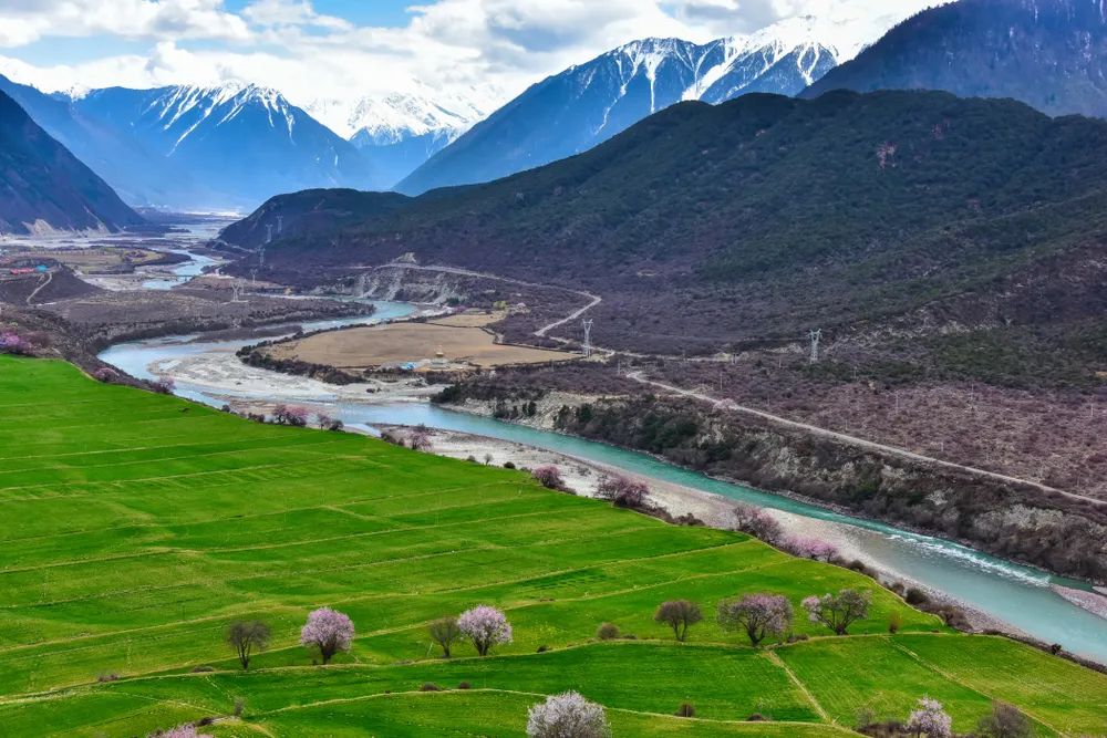 图/shutterstock