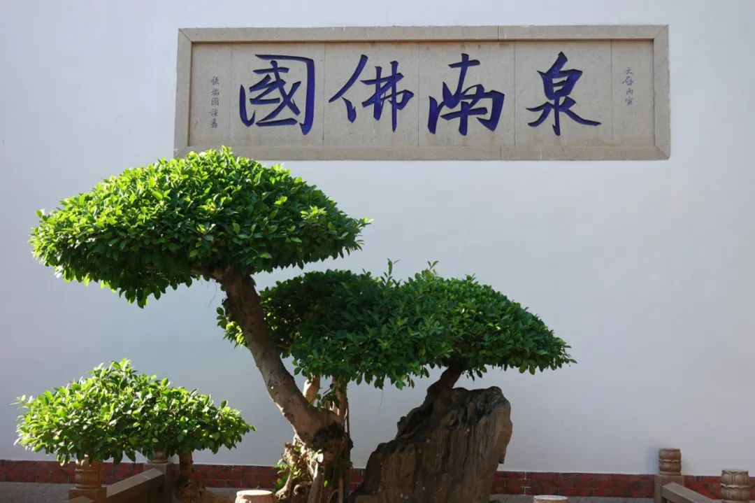 ▲屋脊上的嵌瓷精美绝伦  图/穷游er  jane007