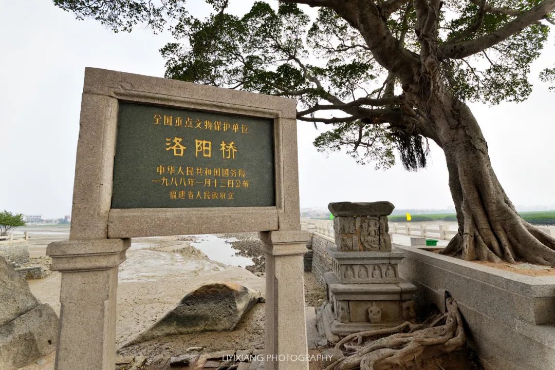 ▲洛阳桥与潮州广济桥、河北赵州桥、北京卢沟桥并称为中国四大古桥。图/穷游er  XIANG_哥